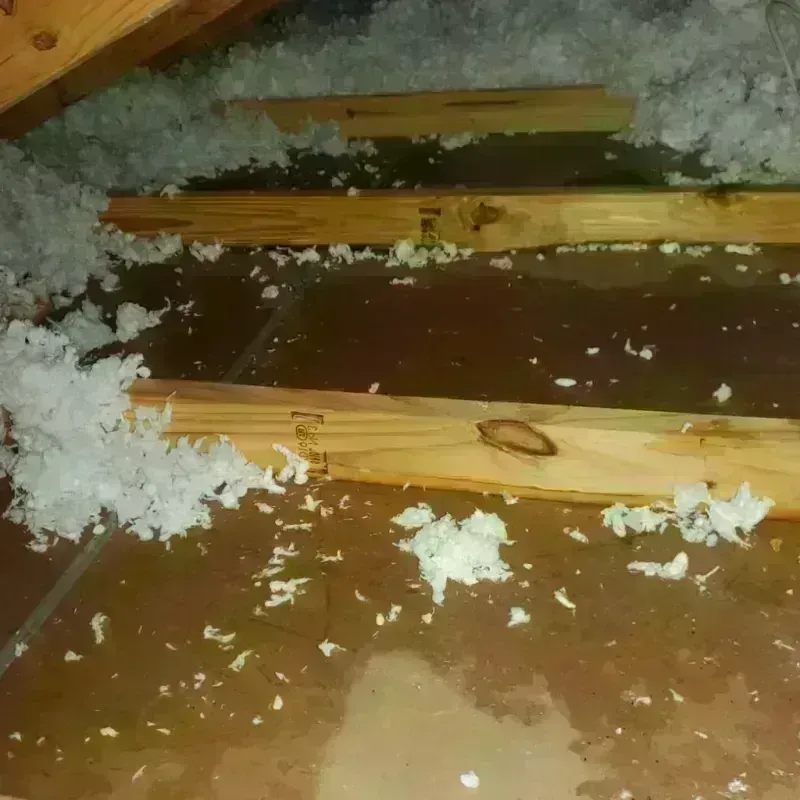 Attic Water Damage in Georgiana, AL