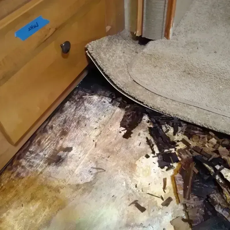 Best Wood Floor Water Damage Service in Georgiana, AL